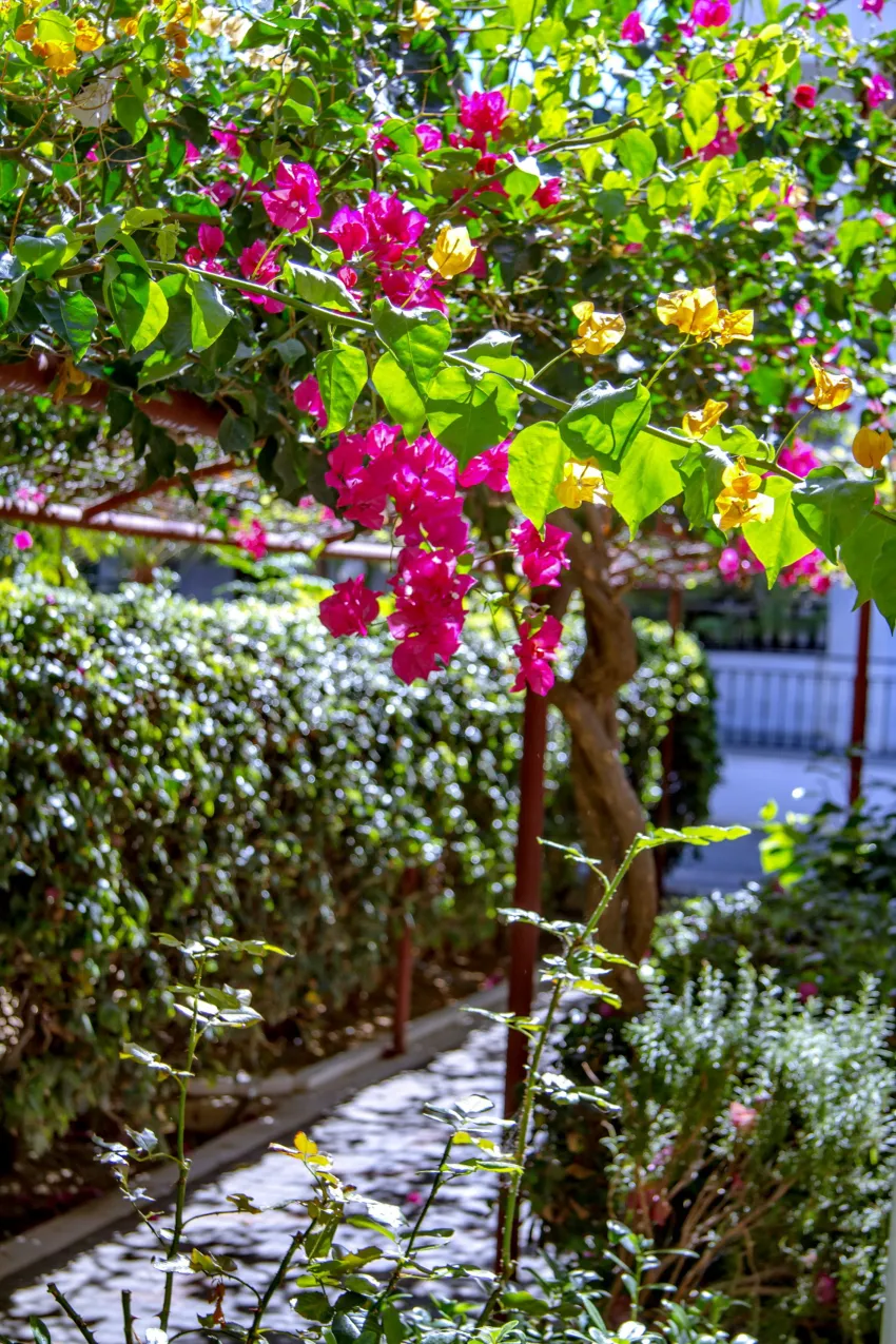 Club Lyda Hotel 3*-8