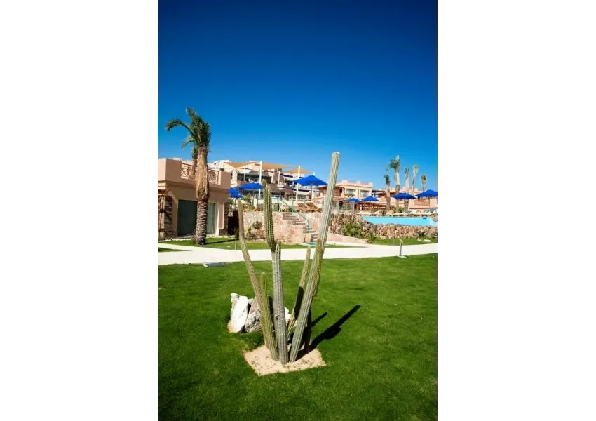 Shams Prestige Abu Soma 5*-17