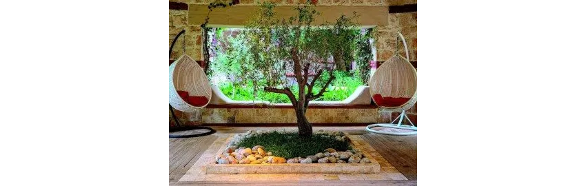Ulusoy Kemer Holiday Club 5*-20