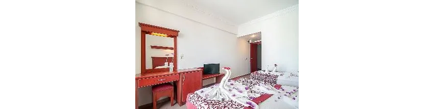 Wasa Hotel 3*-5