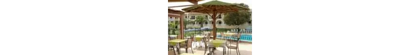 Palmyra Hotel Argassi 3*-8