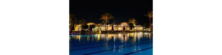 Desert Rose Resort 5*-103