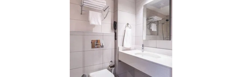 Viking Express Hotel 3*-7