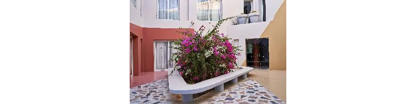 Turtle's Inn Hotel 3*-35