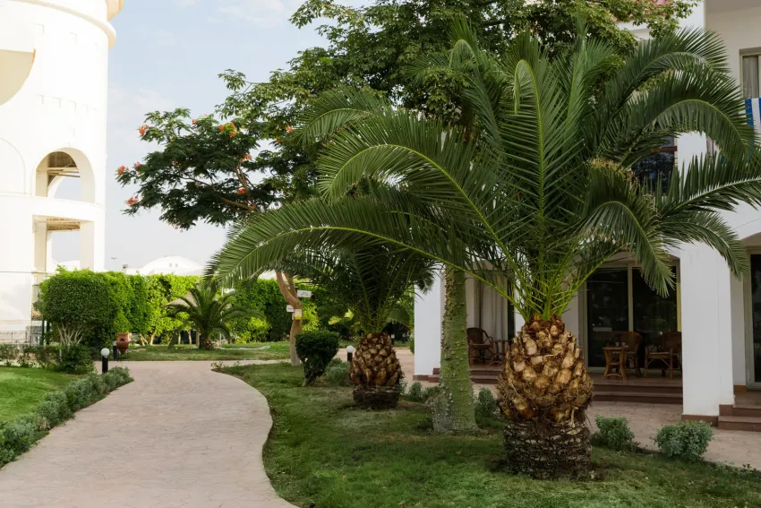 Sunrise Alma Bay Resort 4*-12