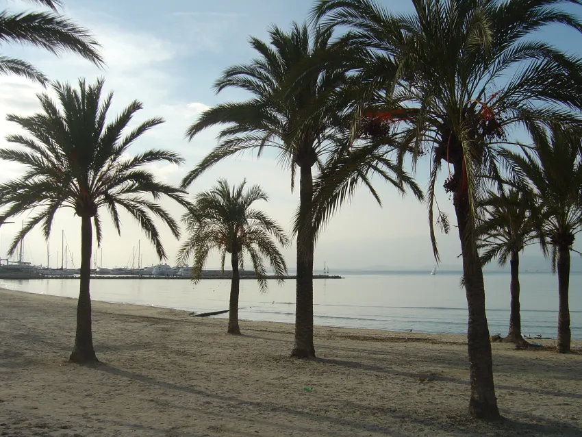 Hispania Hotel 3*-72