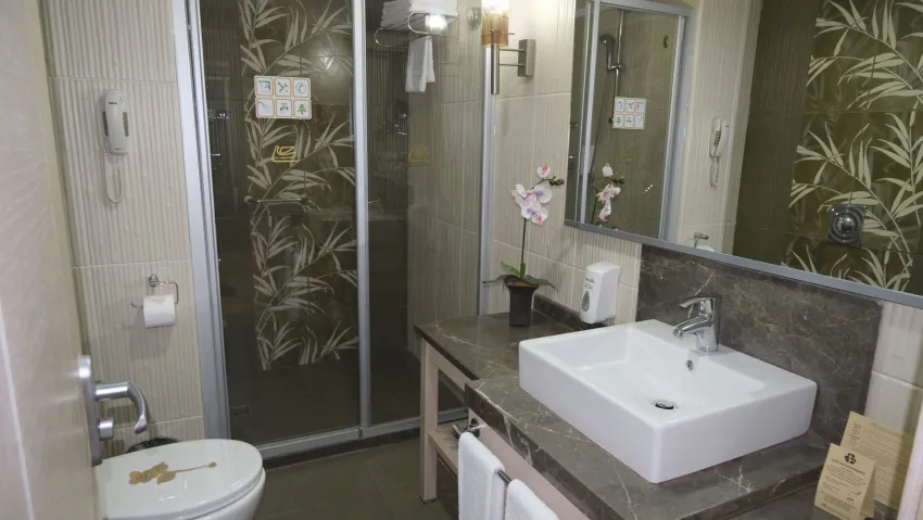 Ambassador Hotel 4*-17