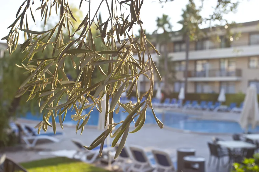 Bahia Pollensa Apart -88