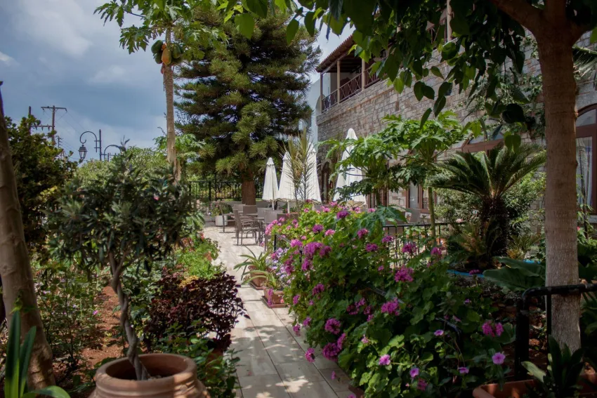 Malia Holidays Hotel 3*-2