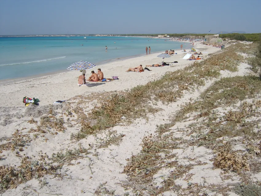 Isla de Cabrera Aparthotel 4*-94