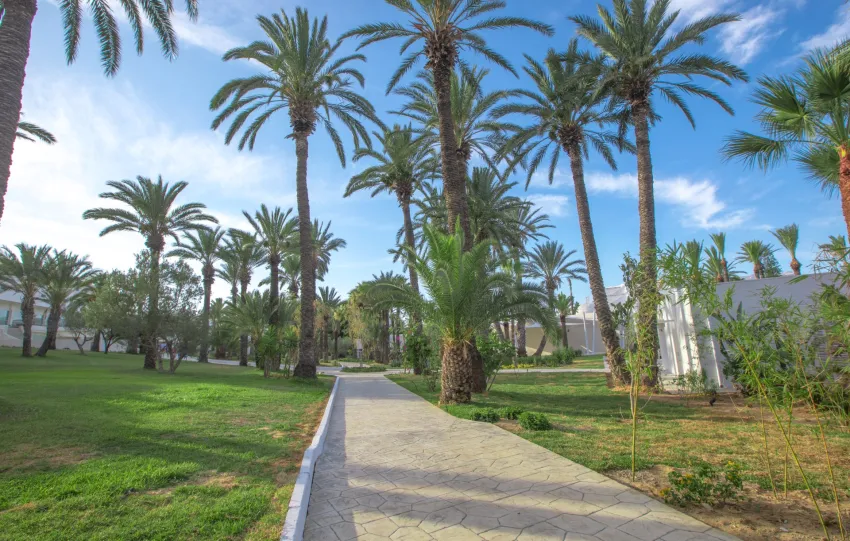 Occidental Sousse Marhaba 4*-15