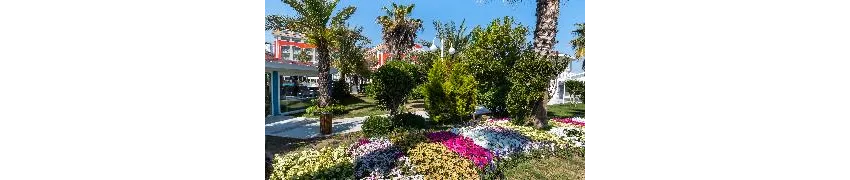 Orange County Belek 5*-38