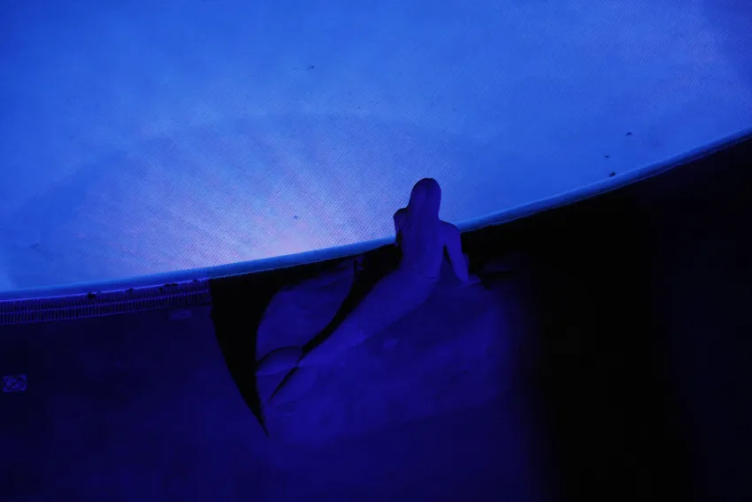 Pirates Village Apartments -54