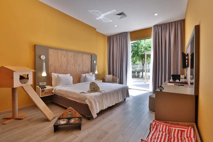 Nirvana Cosmopolitan 5*-20