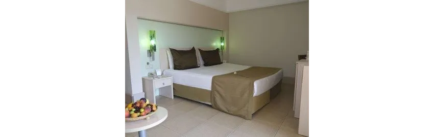 Ambassador Hotel 4*-17