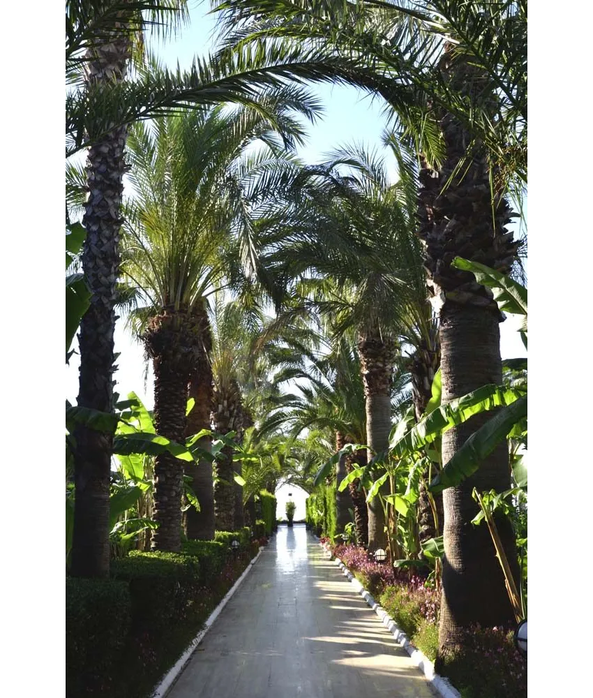 Emelda Sun Club 5*-4