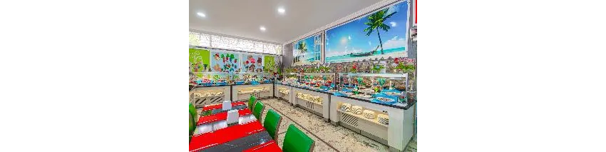 Sayanora Hotel 3*-76