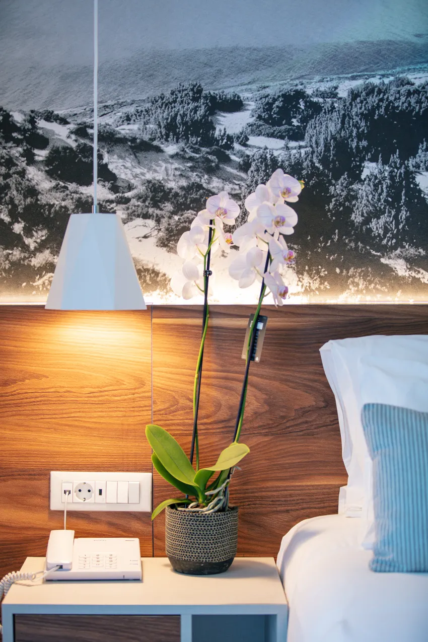 Atrium Ambiance Hotel 4*-210