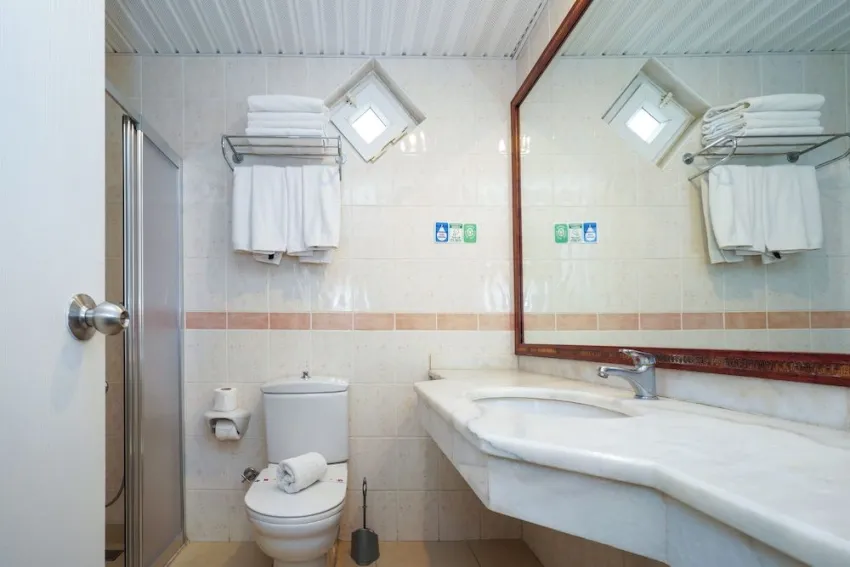 Ergun Hotel 3*-15