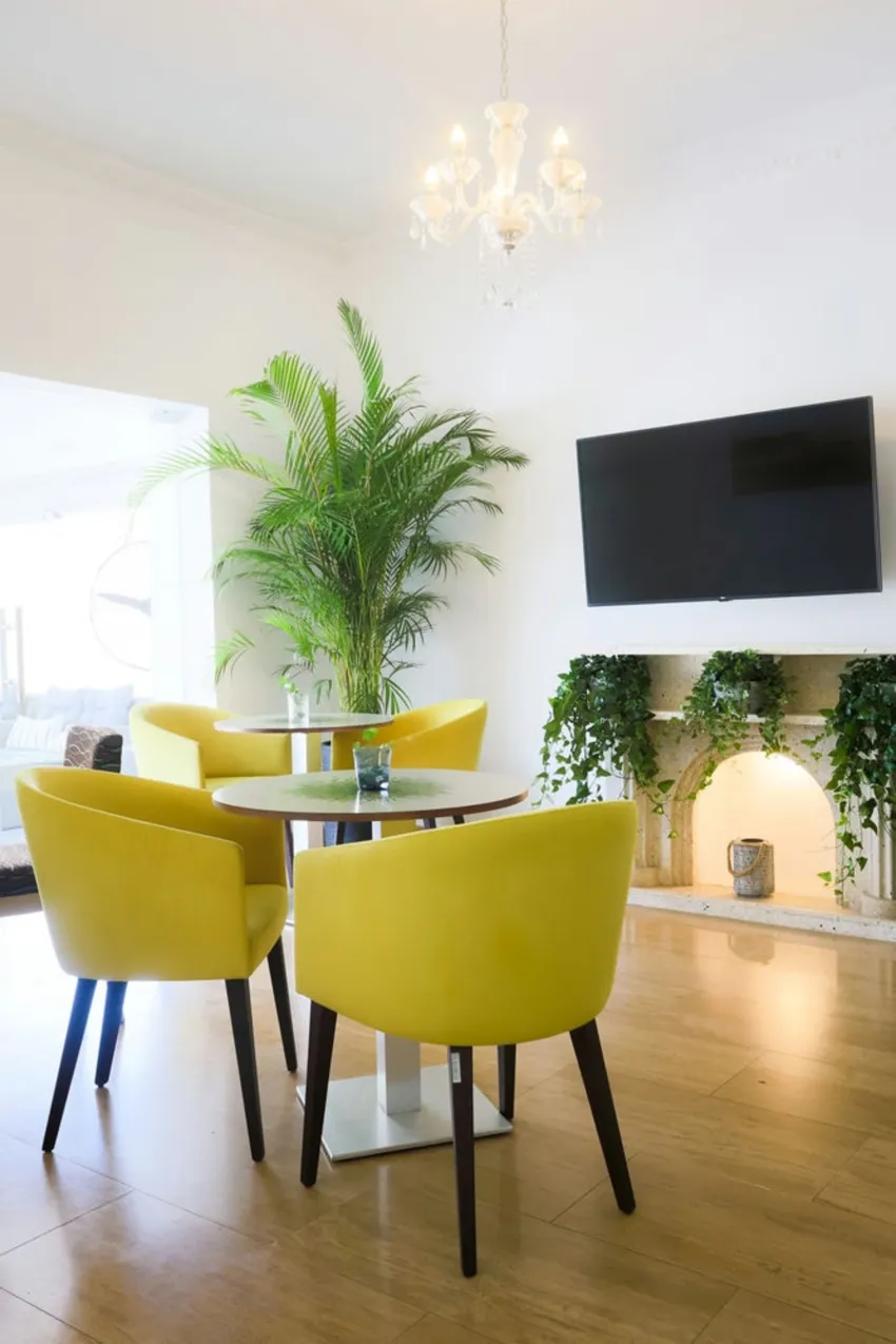 Mikes Kanarium 3*-14