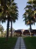 Sural Resort 5*-2-review