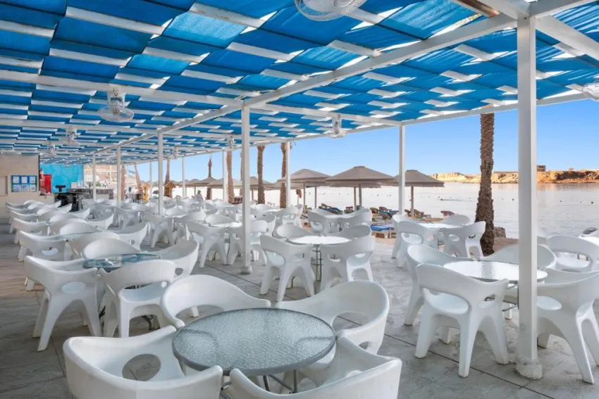 ALBATROS SHARM RESORT  4*-22