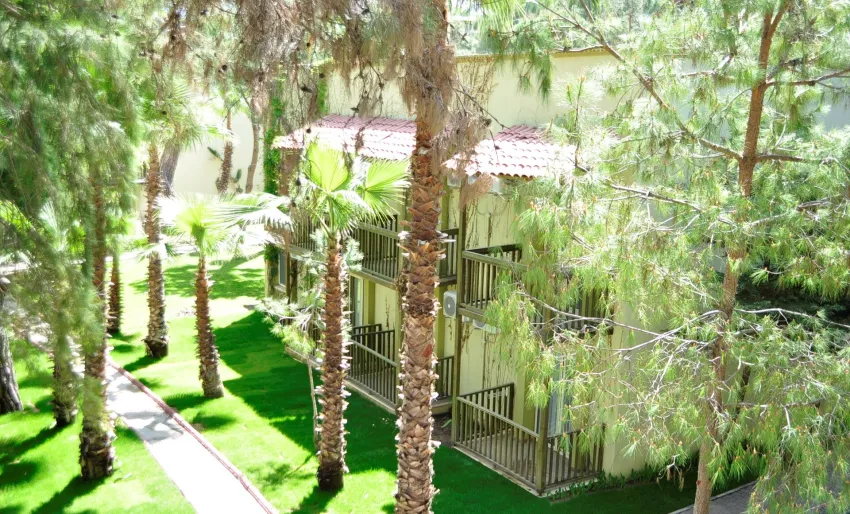 Gypsophila Club Marine 5*-18