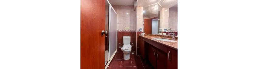 Wasa Hotel 3*-27
