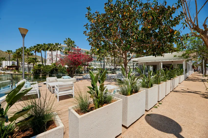 Alua Boccaccio 4*-97