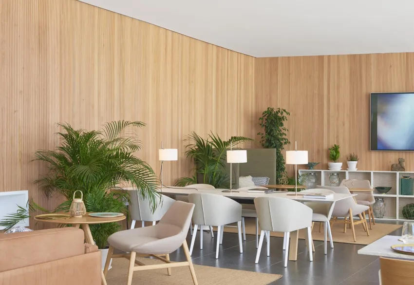 Melia Palma Bay 4*-21