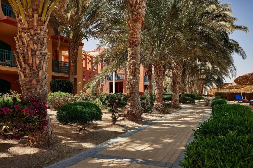Sheraton Miramar Resort (El Gouna) 5*-237