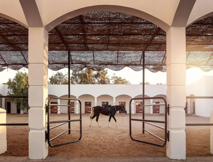 Palm Royale Soma Bay Resort 5*-36