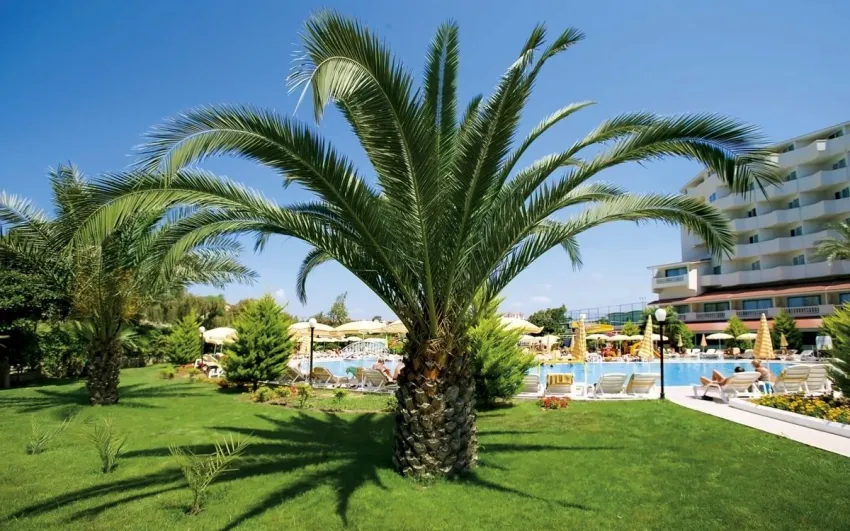 FEBEACH HOTEL  4*-18