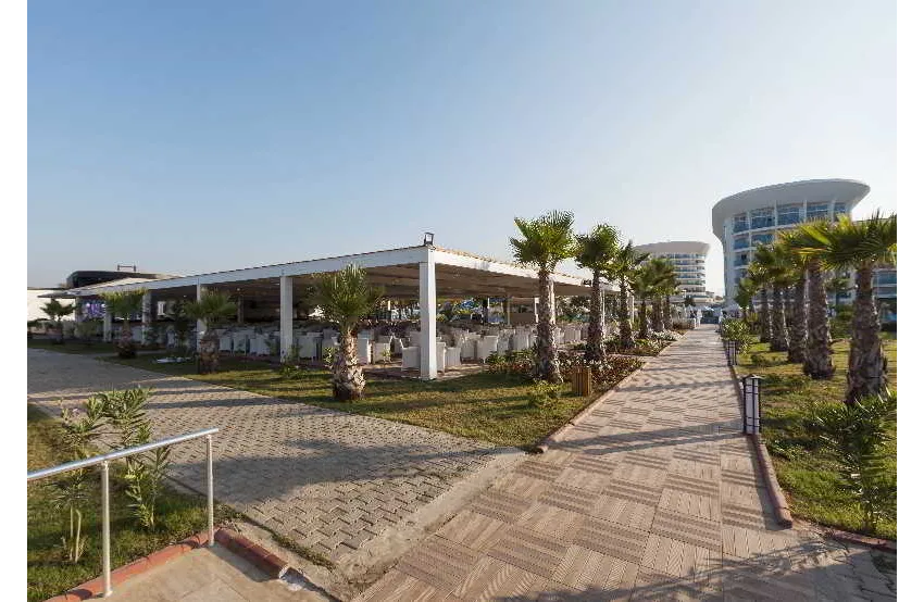 Sultan Of Dreams 5*-60