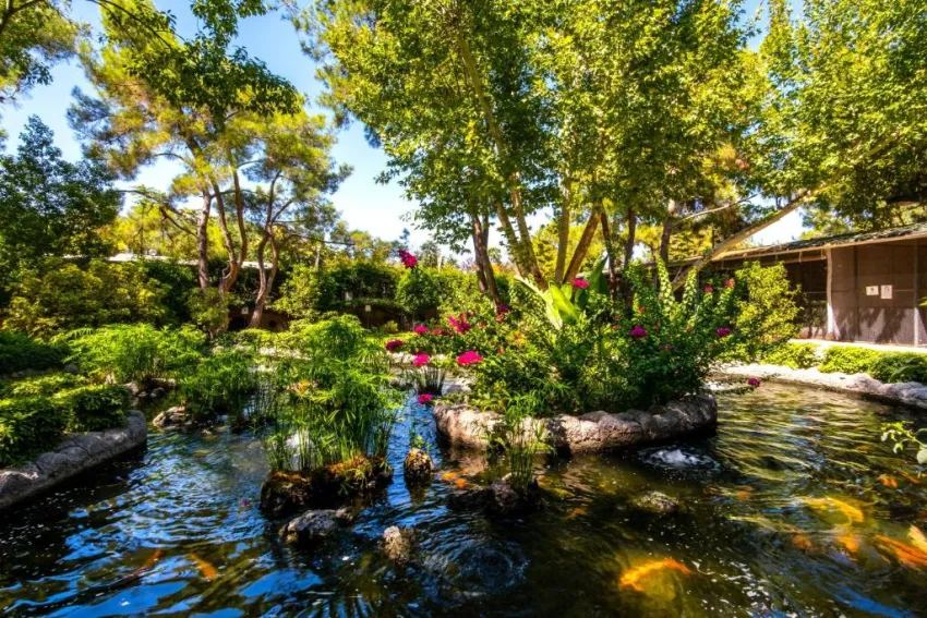 GYPSOPHILA CLUB MARINE   5*-44