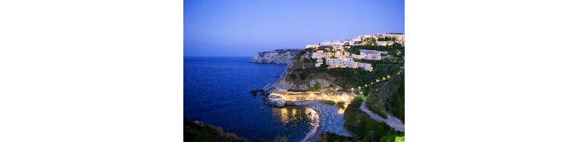 Athina Palace Resort and Spa 5*-45