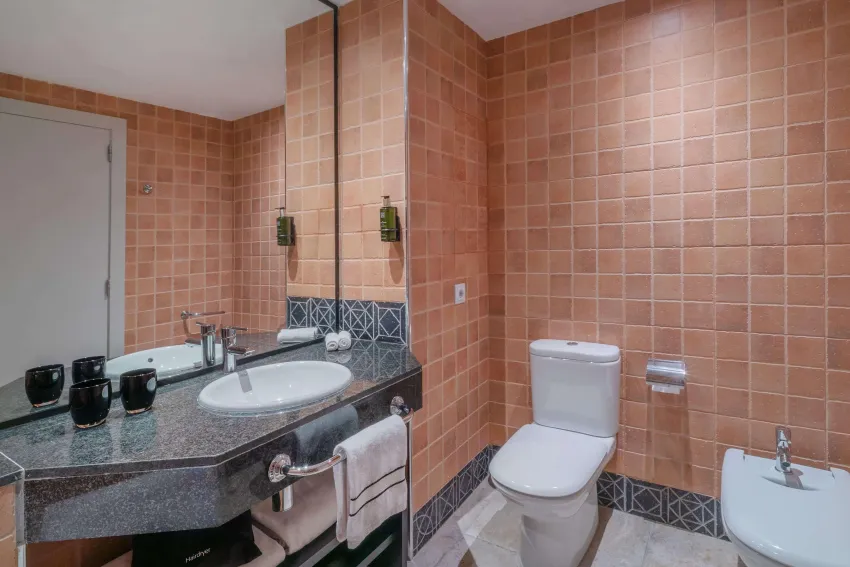 Melia Calvia Beach 4*-79