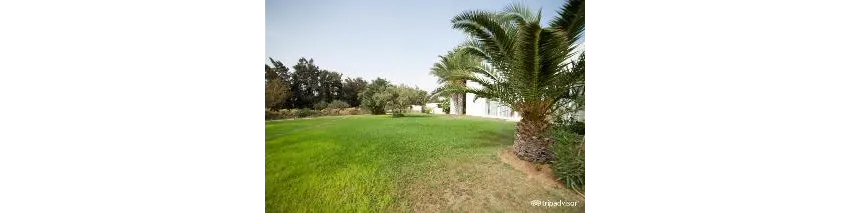 Ramada Liberty Resort 4*-90