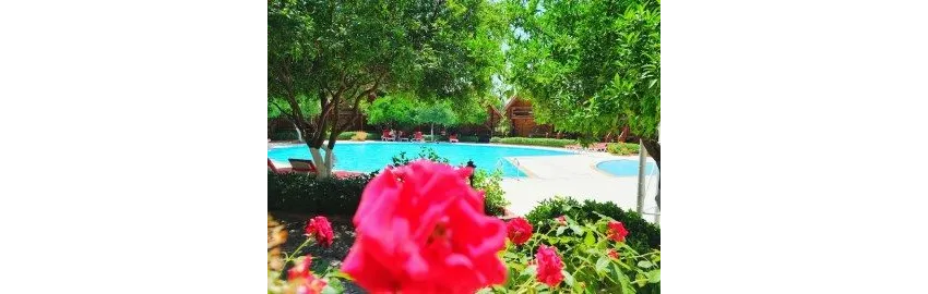 Woodline Hotel 3*-15