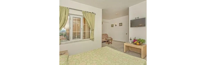 Sinatra Hotel 4*-18