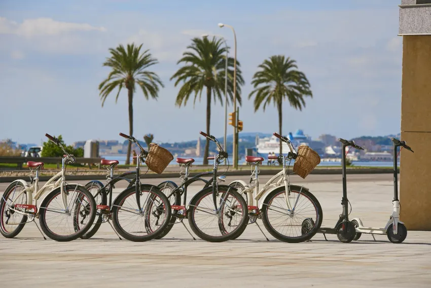 Melia Palma Bay 4*-4