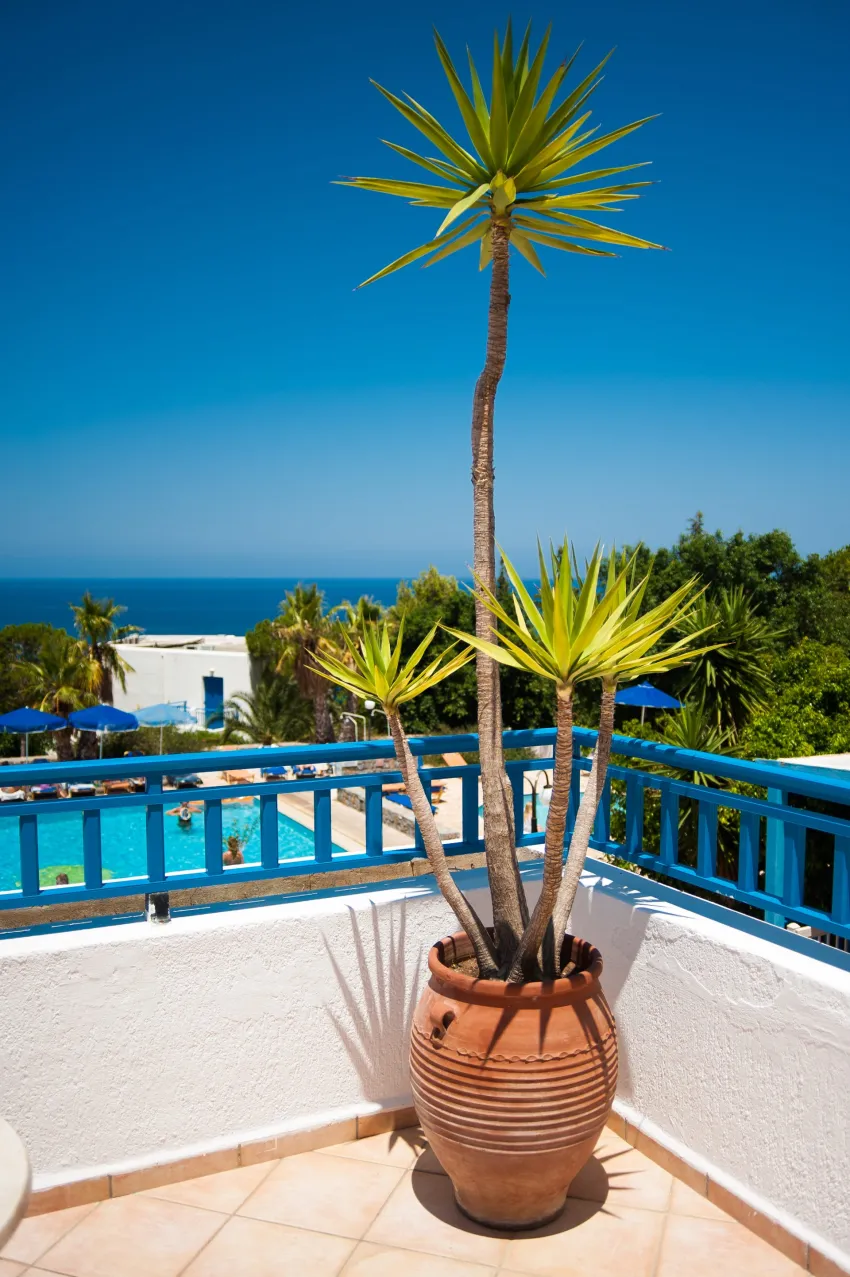 Sunshine Village Chersonissos 4*-19