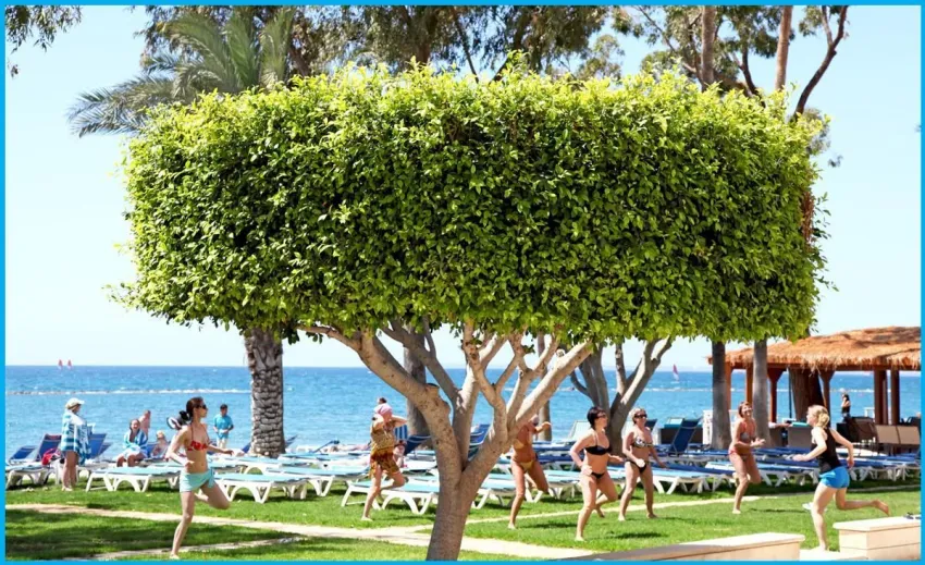 Poseidonia Beach Hotel 4*-6