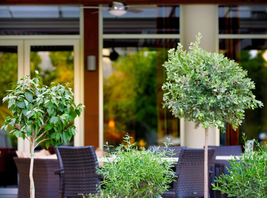 Ajax Hotel 4*-7