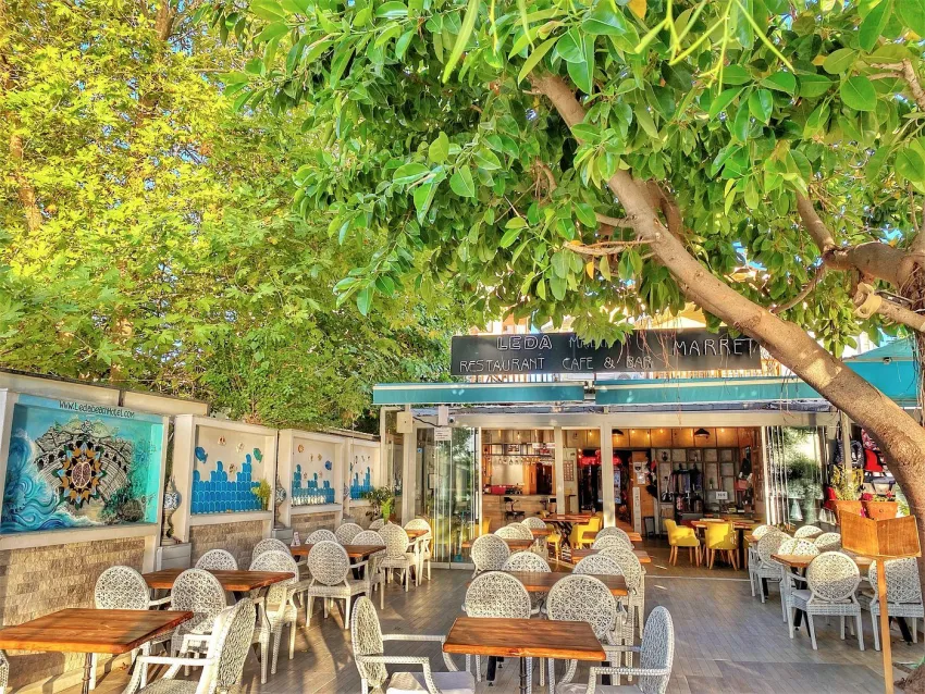 Leda Beach Hotel 3*-11