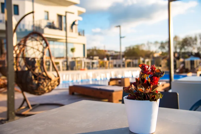 Elia Agia Marina Beach Hotel 4*-28