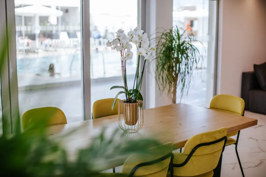 Cosmo Napa Boutique Hotel 3*-11