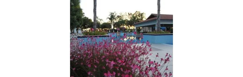 Champion Holiday Village 5*-27