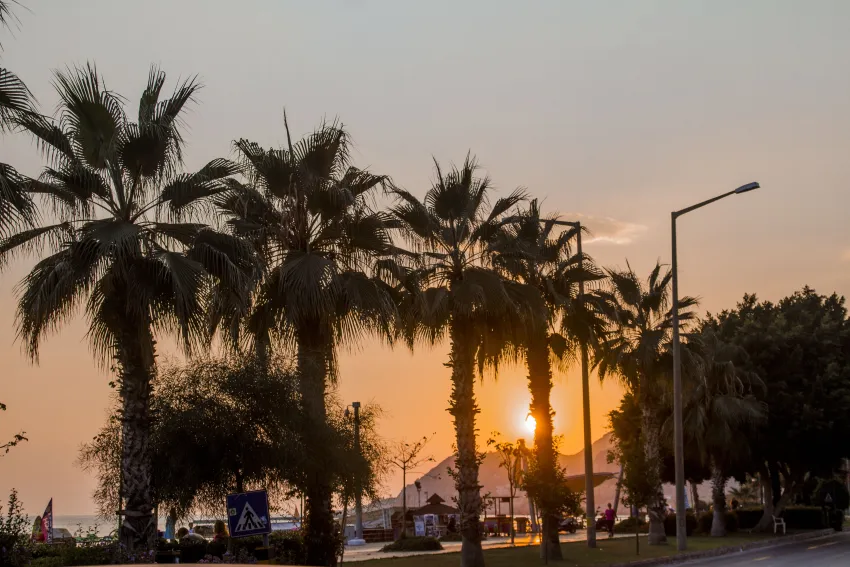 Kleopatra Ada Beach Hotel 4*-4