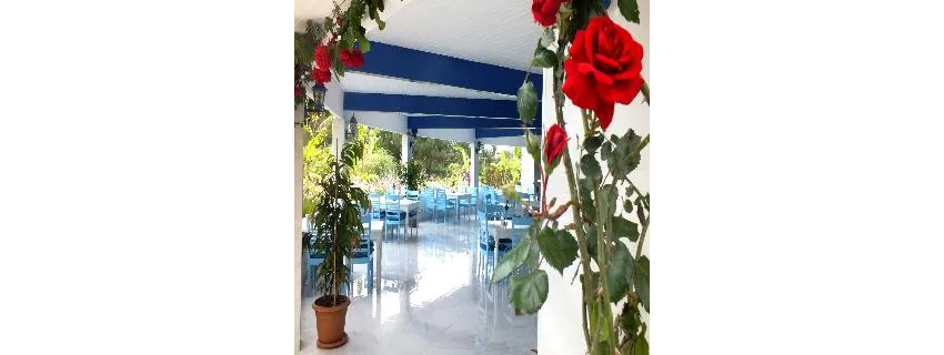 Vonresort Elite 5*-47